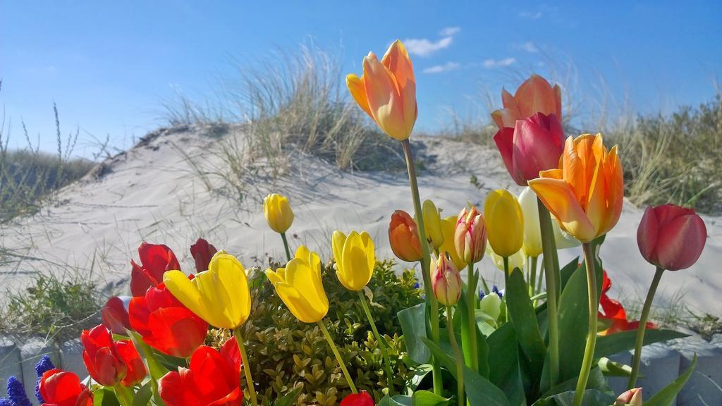 Ostsee Ferienappartements Dierhagen-Strand Klein & Fein Bagian luar foto